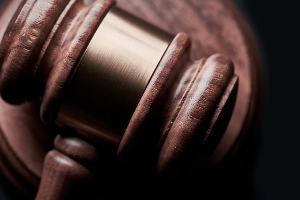 Constitutional & Human Rights Law